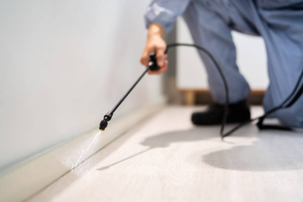 Certified termite inspector examining foundation in Kersey